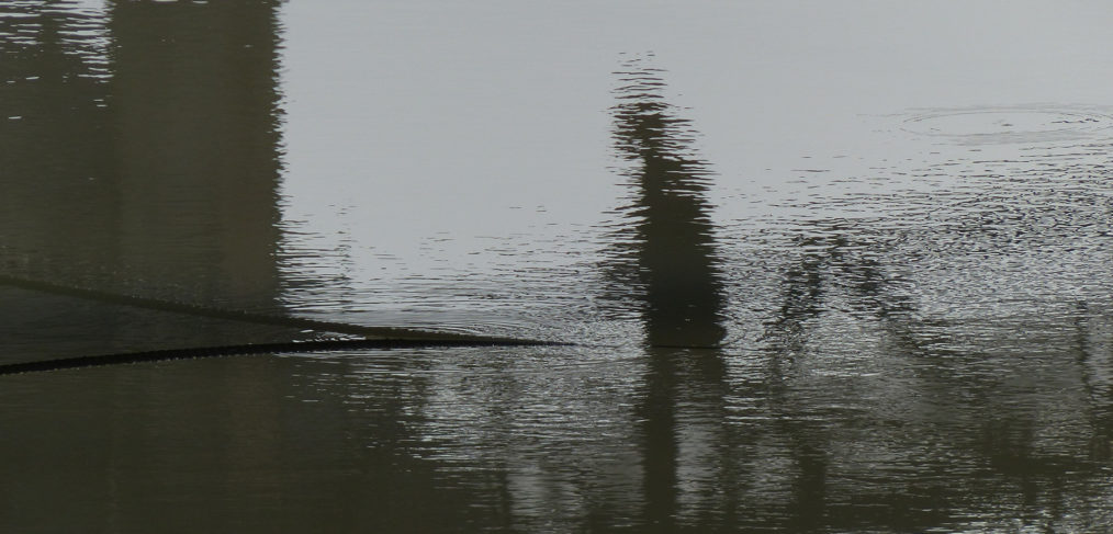 Photographie et cinématographie de Manon Plezent